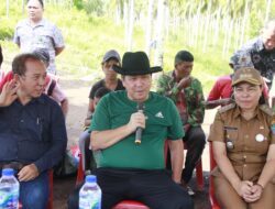 Support, Wagub Kandouw Panen Kacang Batik, Berikan Bantuan 25 Juta Untuk Kelompok Tani