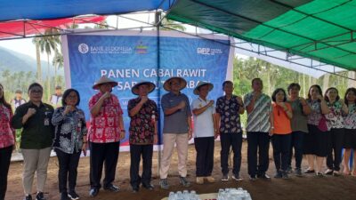 Panen Cabai di Dua Kabupaten/Kota, Bukti Bank Indonesia Berikan Kontribusi Stimulus Tingkatkan Ketahanan Pangan