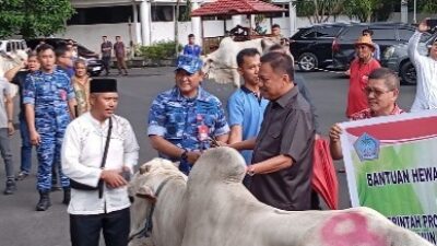 Jelang Perayaan Idul Adha 1445H, Gubernur Olly Serahkan Bantuan Hewan Qurban 137 Ekor Sapi