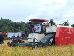 Dorong Ketahanan Pangan, Gubernur Yulius Panen Padi dan Serahkan Bantuan di Desa Touliang Kecamatan Kakas