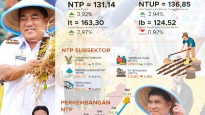 BPS Catat NTP Sulut Tertinggi di Pulau Sulawesi