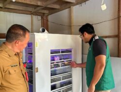 PLN UP3 Manado Dukung Ketahanan Pangan Melalui Pelatihan Budidaya Ayam dan Pengolahan Limbah Ayam Buras