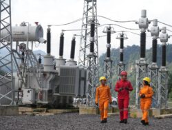 Antusiasme Tinggi, Lebih dari 200 Ribu Pelamar Daftar Rekrutmen PLN Group 2025