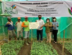 Usman Bangun: PLN Hadir Bantu Petani di Tomohon Fasilitasi Green House