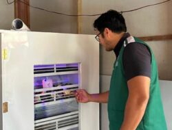 Pemanfaatan Energi Listrik Berbuah Manis: UMK Pangi Farm Tomohon Raih Omset Jutaan Rupiah Berkat Bantuan TJSL PLN