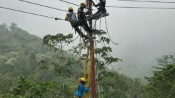 Menembus Medan Pegunungan, PLN Mulai Bangun Jaringan Listrik untuk Desa Bobalo di Tinombo Sulawesi Tengah